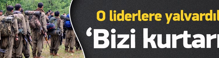 PKK’lılardan BM, NATO, Obama ve Merkel’e feryat